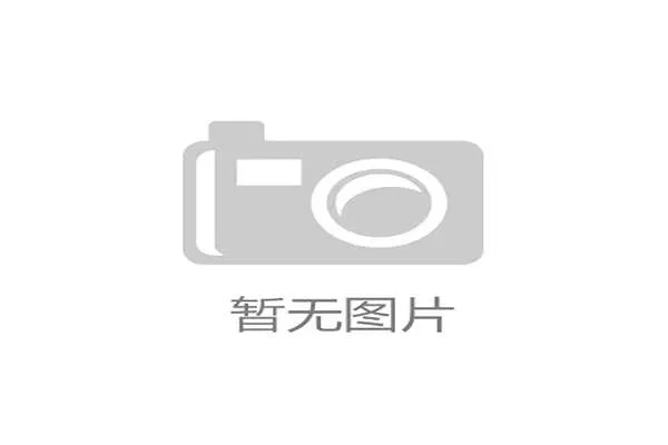 《深入解读LOL针针解说风格与其独特魅力分析》
